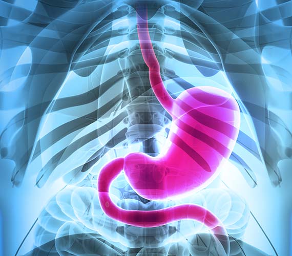 消化器内科・内視鏡内科